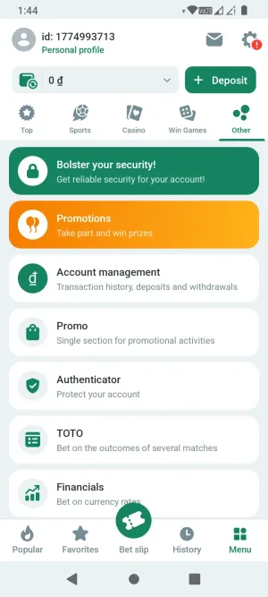 BetWinner screenshot 6