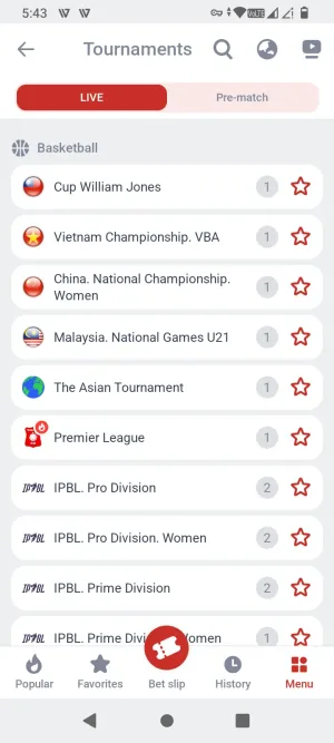 Megapari screenshot 2