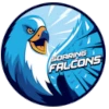 Adamson Falcons (Women)