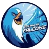 AdU Falcons (Women)