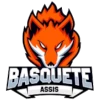 Assis Basket