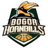 Bogor Hornbills