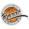 Borac Zemun