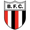 Botafogo Ribeirao Preto