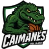 Caimanes del Llano