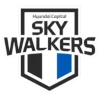 Cheonan Hyundai Capital Skywalkers