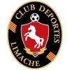 Deportes Limache
