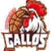 Gallos de Aguascalientes