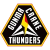 Gunma Crane Thunders