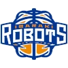 Ibaraki Robots