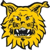 Ilves