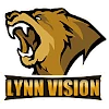 Lynn Vision