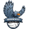 Modrany