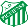Picuiense