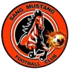Sang Mustang