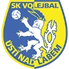 SKV Usti nad Labem