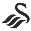 Swansea City