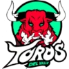 Toros del Valle