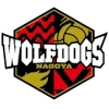 Wolfdogs Nagoya