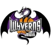 Yamagata Wyverns